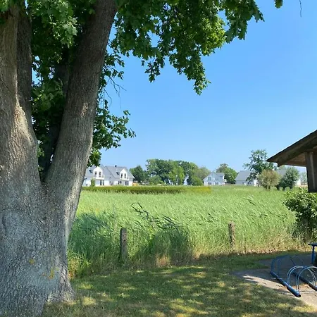 別荘 - Schilfprinzessin Altwarp